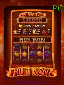Explorando o Mundo Vibrante do Jogo FruitNova