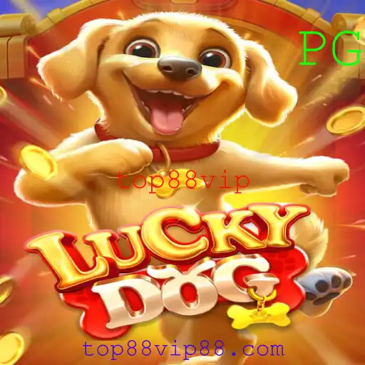 Explore o Empolgante Mundo de LuckyDog: Um Jogo de Azar com Emoção Garantida